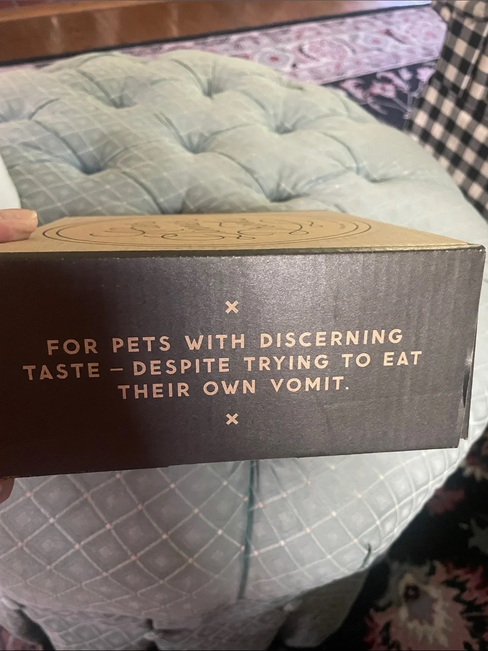 After Dinner Drinks White Ceramic Dog  Bowl with Gold Script